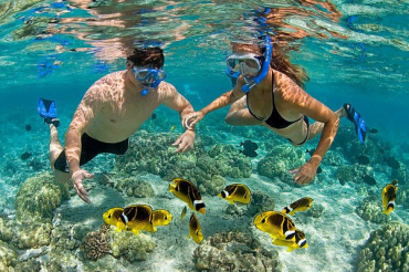 gallery/snorkel 1
