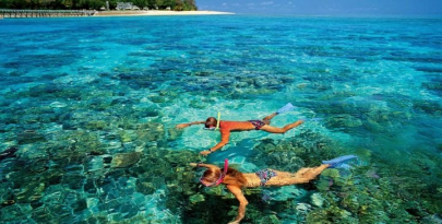 gallery/snorkel 2