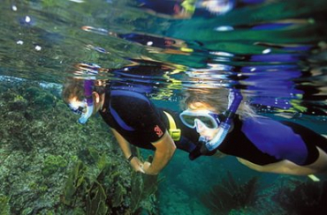 gallery/snorkel 3
